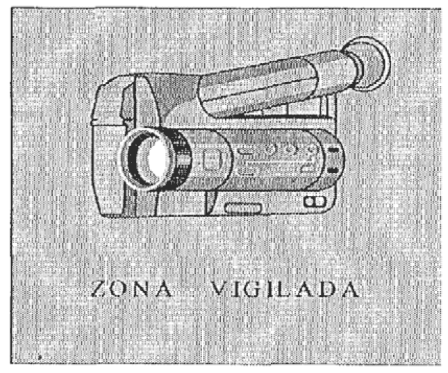 Imagen del texto oficial
