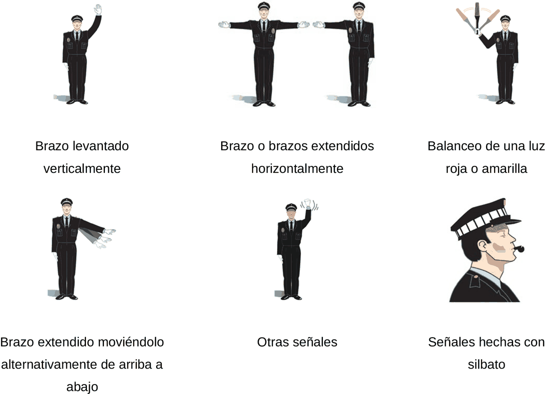 Imagen del texto oficial