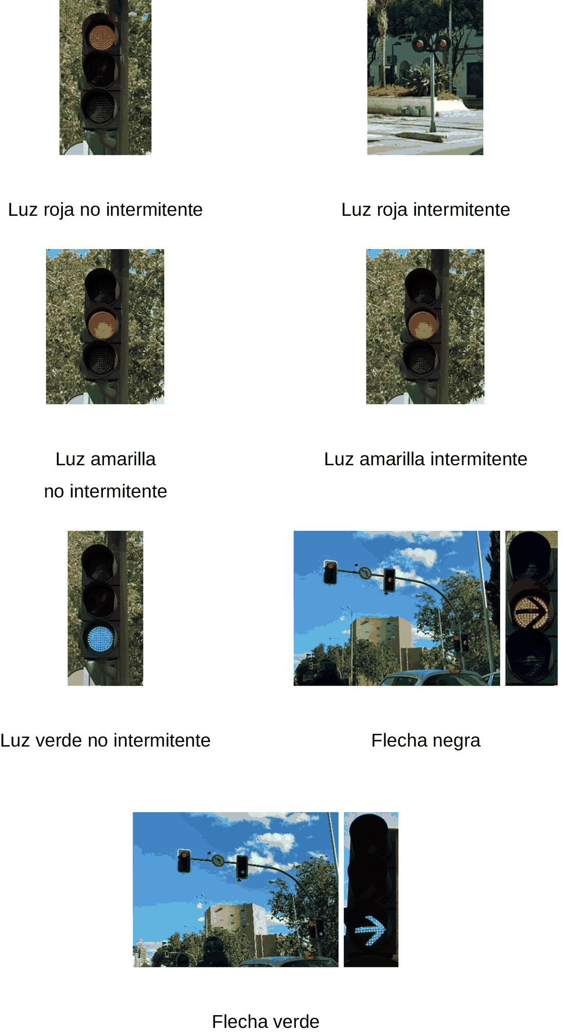 Imagen del texto oficial