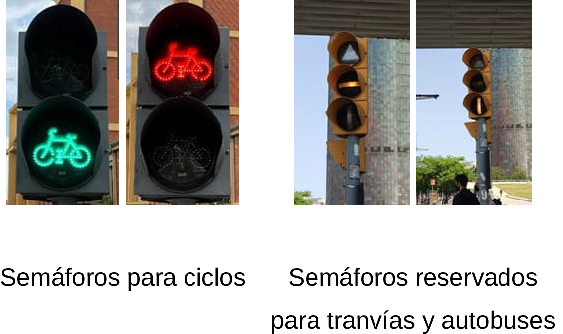 Imagen del texto oficial
