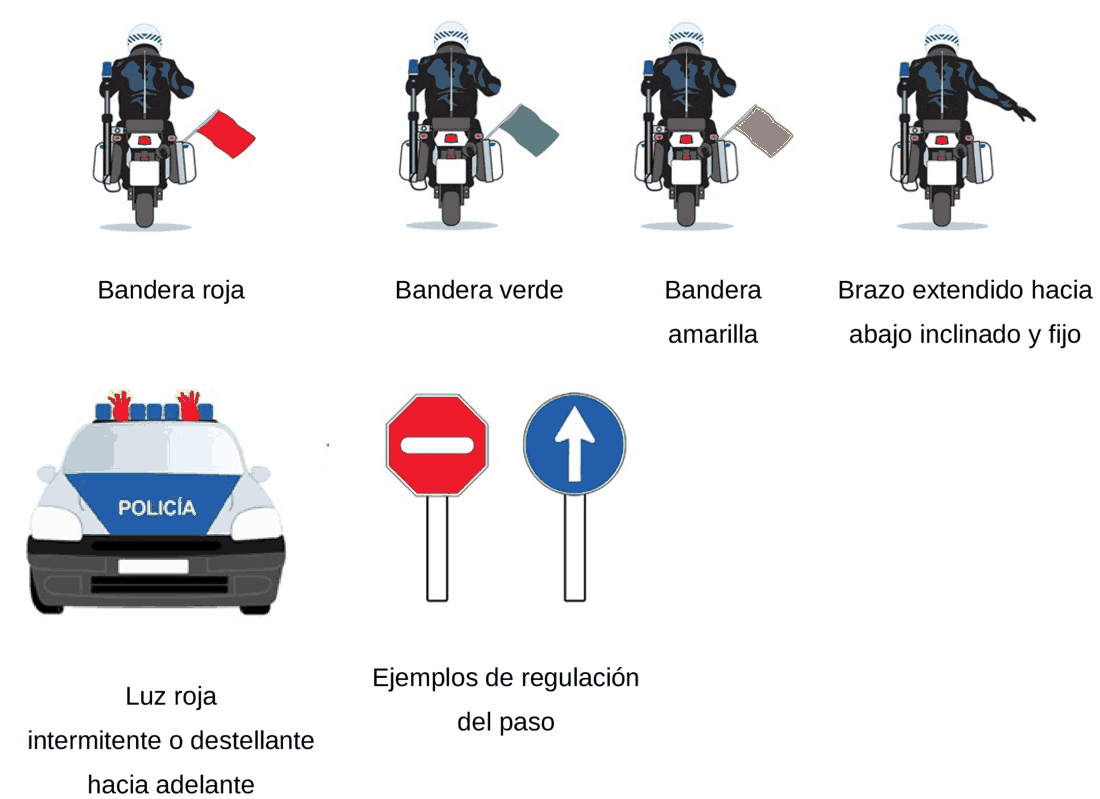 Imagen del texto oficial
