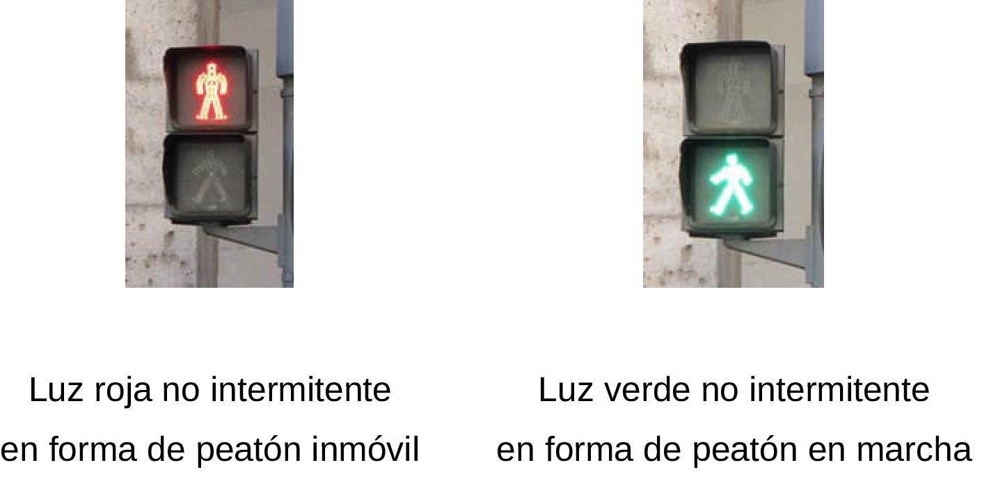 Imagen del texto oficial