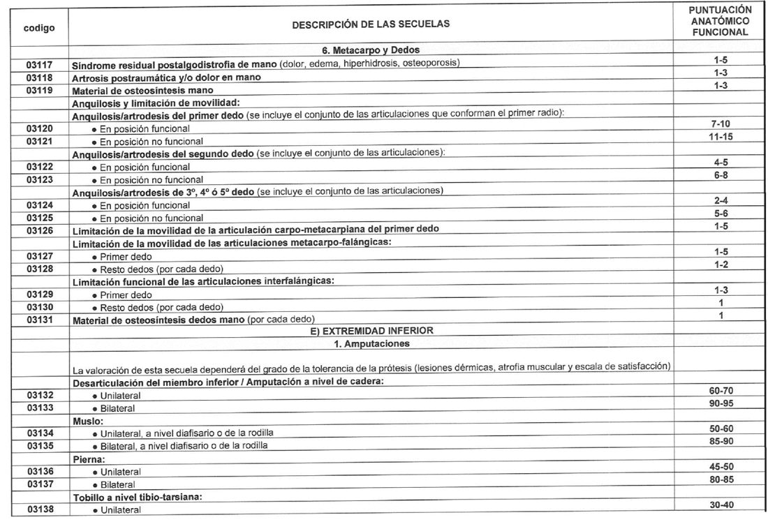 Imagen del texto oficial