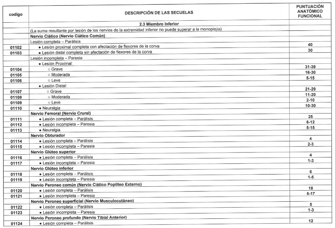 Imagen del texto oficial