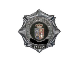 Figura del texto oficial (pág. 51)