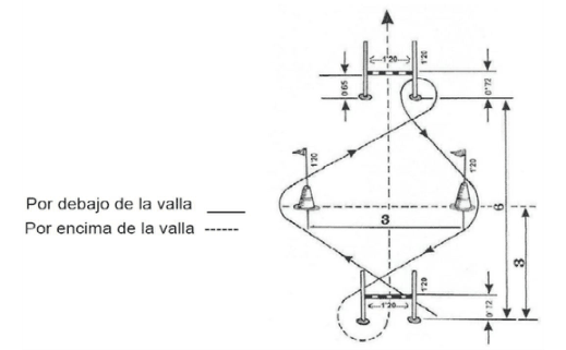 Figura del texto oficial (pág. 7)