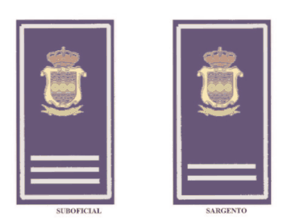 Figura del texto oficial (pág. 16)