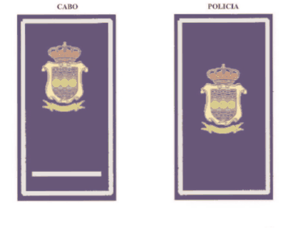 Figura del texto oficial (pág. 16)