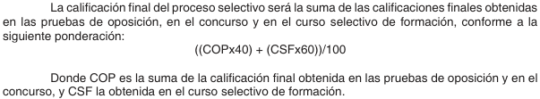 Figura del texto oficial (pág. 13)