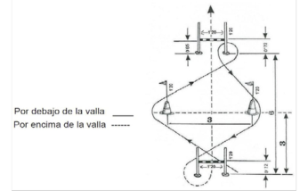Figura del texto oficial (pág. 15)