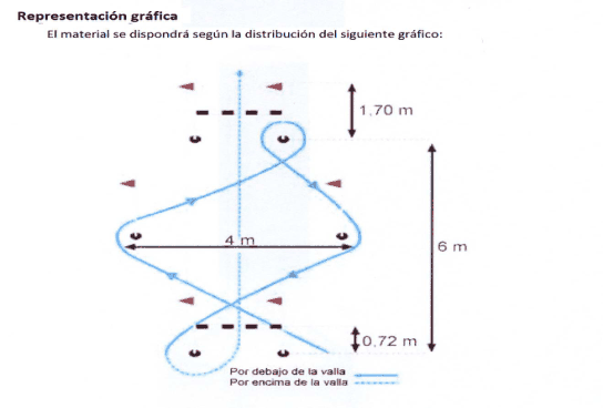 Figura del texto oficial (pág. 131)