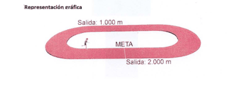 Figura del texto oficial (pág. 135)