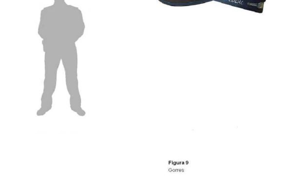 Figura del texto oficial (pág. 91)