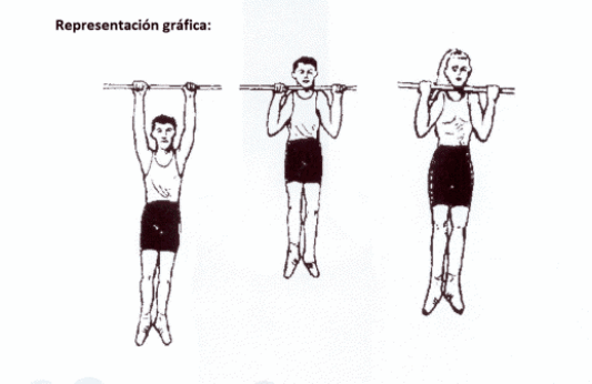 Figura del texto oficial (pág. 2)