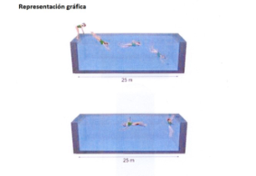 Figura del texto oficial (pág. 5)