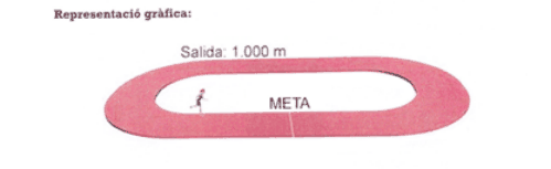 Figura del texto oficial (pág. 7)