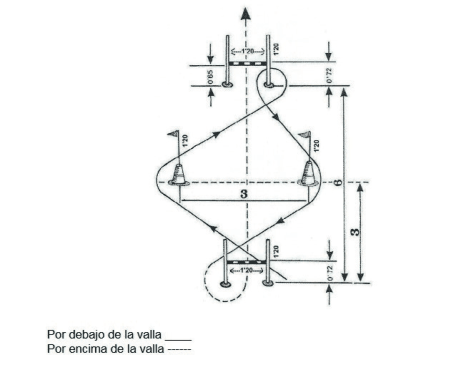 Figura del texto oficial (pág. 52)