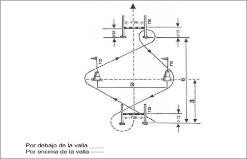 Figura del texto oficial (pág. 41)