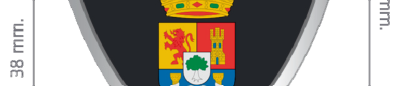 Figura del texto oficial (pág. 13)