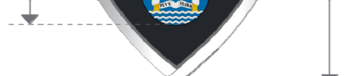 Figura del texto oficial (pág. 13)