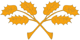 Figura del texto oficial (pág. 14)