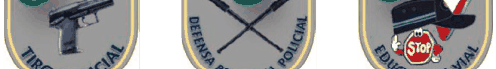 Figura del texto oficial (pág. 16)
