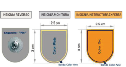 Figura del texto oficial (pág. 17)
