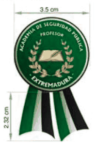 Figura del texto oficial (pág. 17)