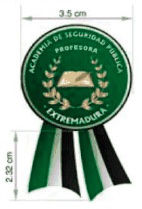 Figura del texto oficial (pág. 17)