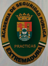 Figura del texto oficial (pág. 19)