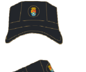 Figura del texto oficial (pág. 25)