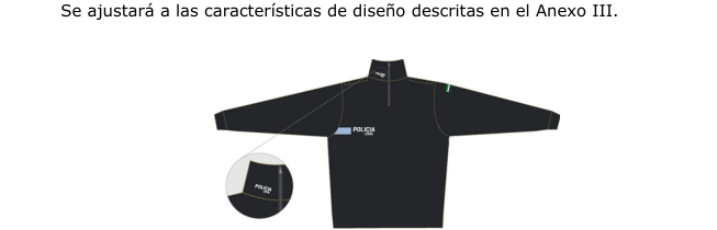 Figura del texto oficial (pág. 29)