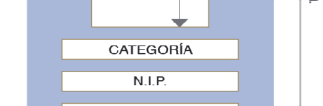 Figura del texto oficial (pág. 4)