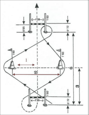 Figura del texto oficial (pág. 8)