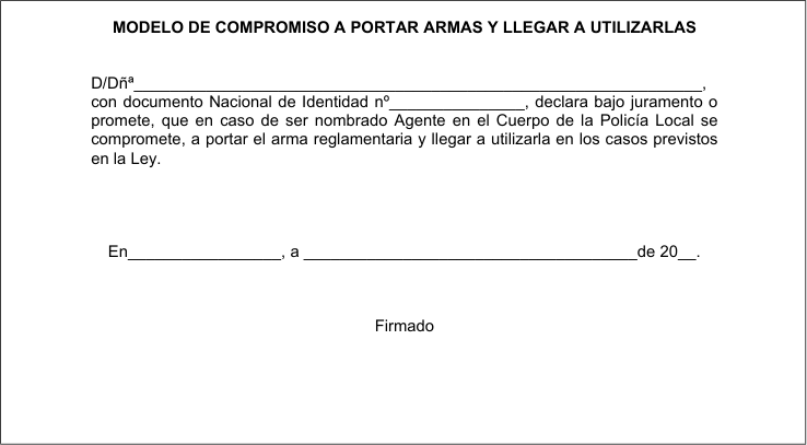 Figura del texto oficial (pág. 13)