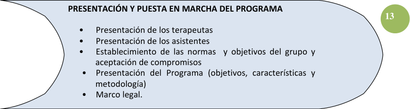 Figura del texto oficial (pág. 13)