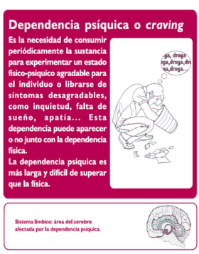 Figura del texto oficial (pág. 24)