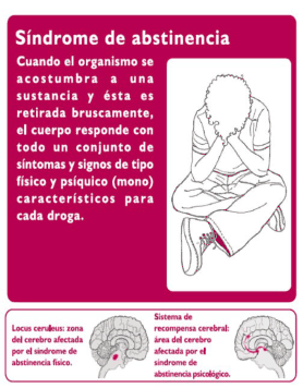 Figura del texto oficial (pág. 25)