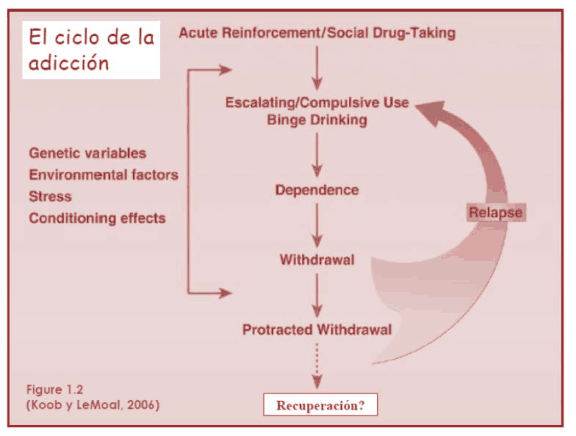 Figura del texto oficial (pág. 25)