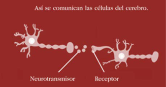 Figura del texto oficial (pág. 36)