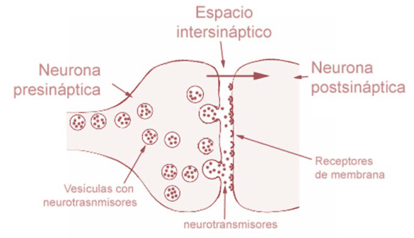 Figura del texto oficial (pág. 36)