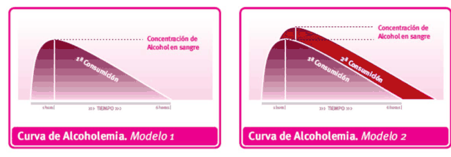 Figura del texto oficial (pág. 45)