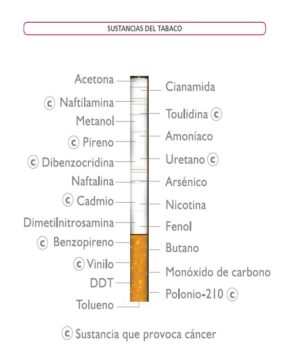 Figura del texto oficial (pág. 63)