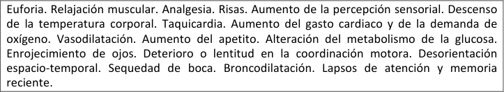 Figura del texto oficial (pág. 81)