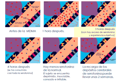 Figura del texto oficial (pág. 85)