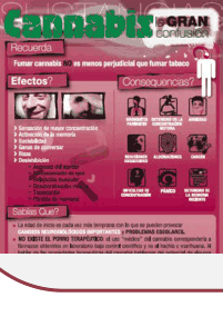 Figura del texto oficial (pág. 91)